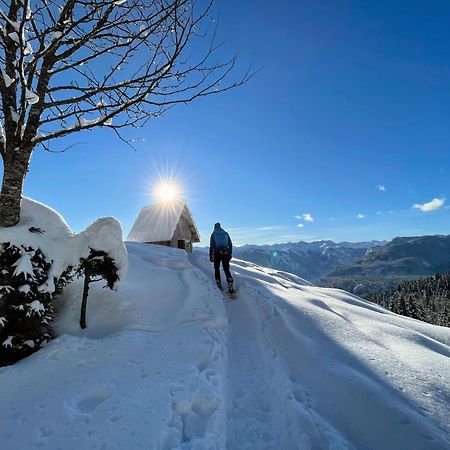 Chalet Hike&Bike Above Bohinj Valley エクステリア 写真