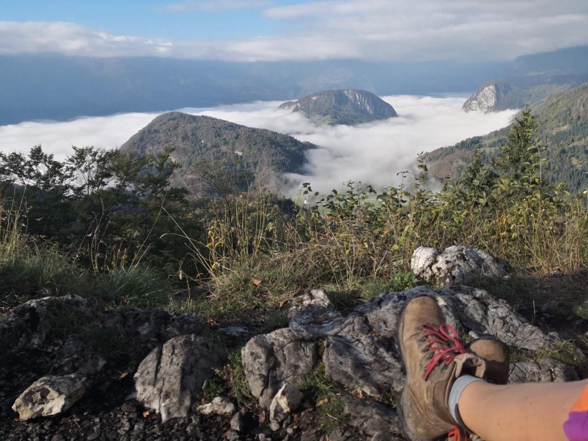 Chalet Hike&Bike Above Bohinj Valley エクステリア 写真