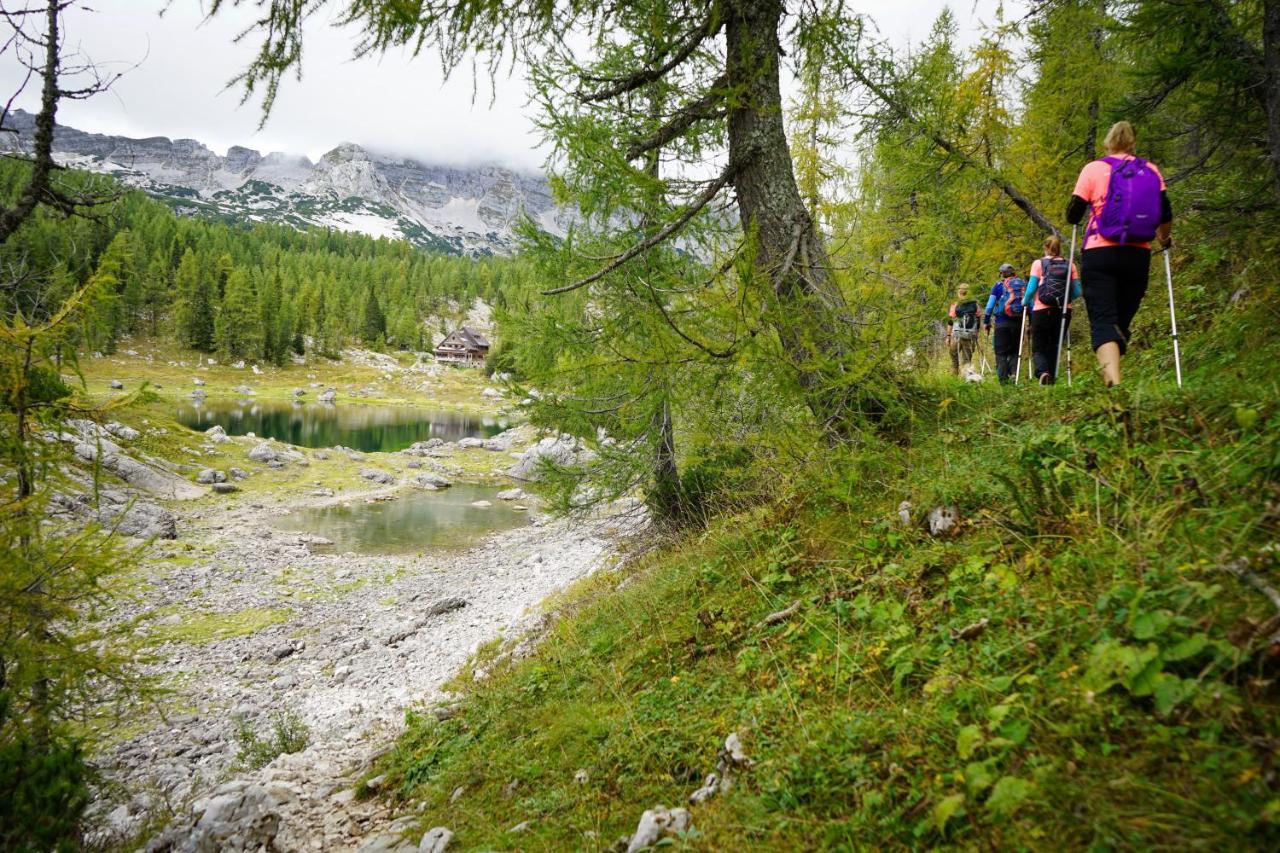 Chalet Hike&Bike Above Bohinj Valley エクステリア 写真