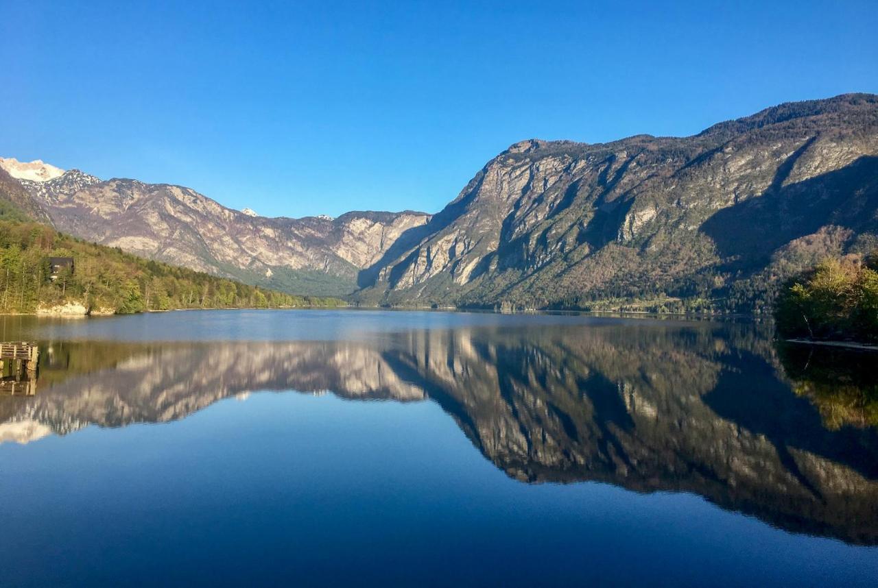 Chalet Hike&Bike Above Bohinj Valley エクステリア 写真
