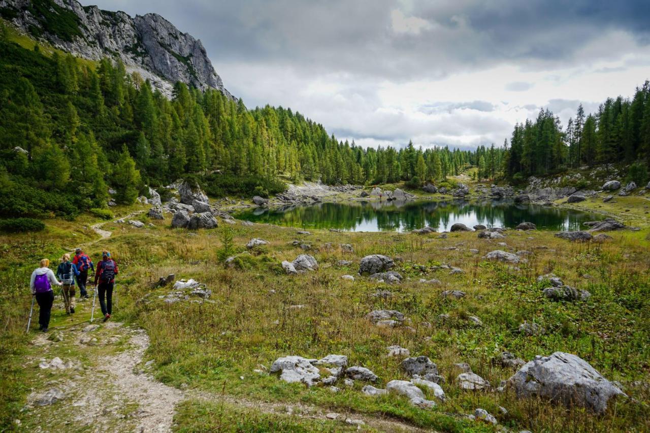 Chalet Hike&Bike Above Bohinj Valley エクステリア 写真