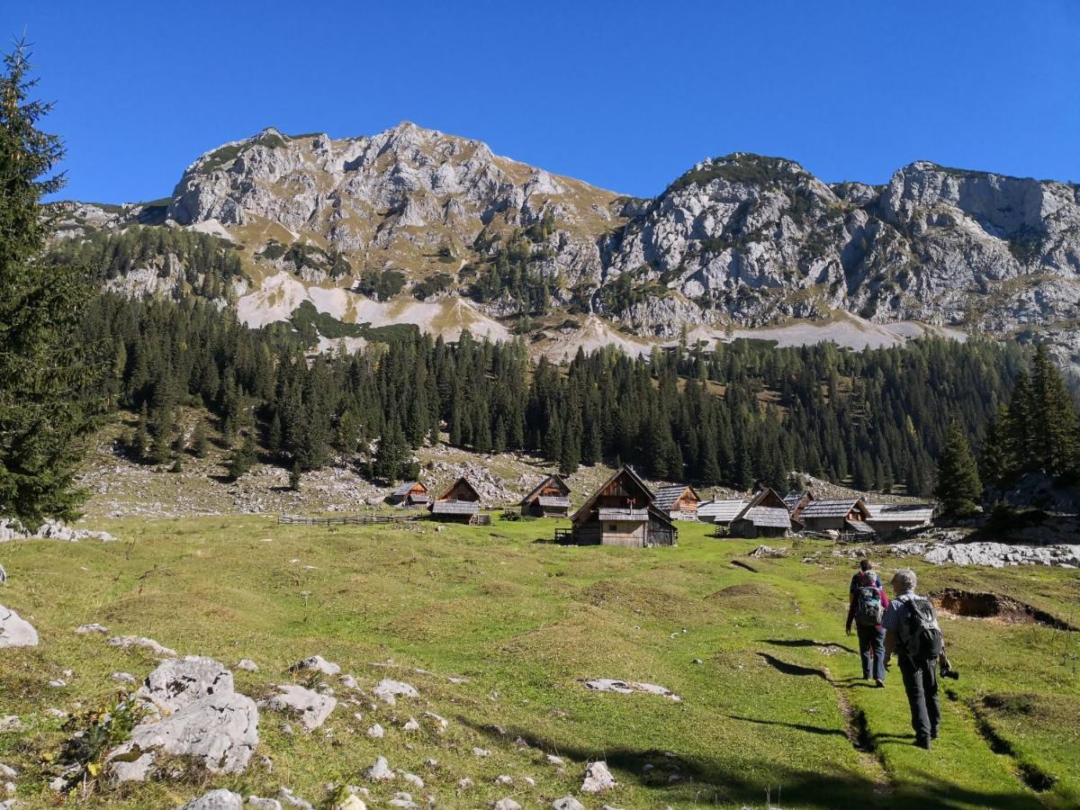 Chalet Hike&Bike Above Bohinj Valley エクステリア 写真