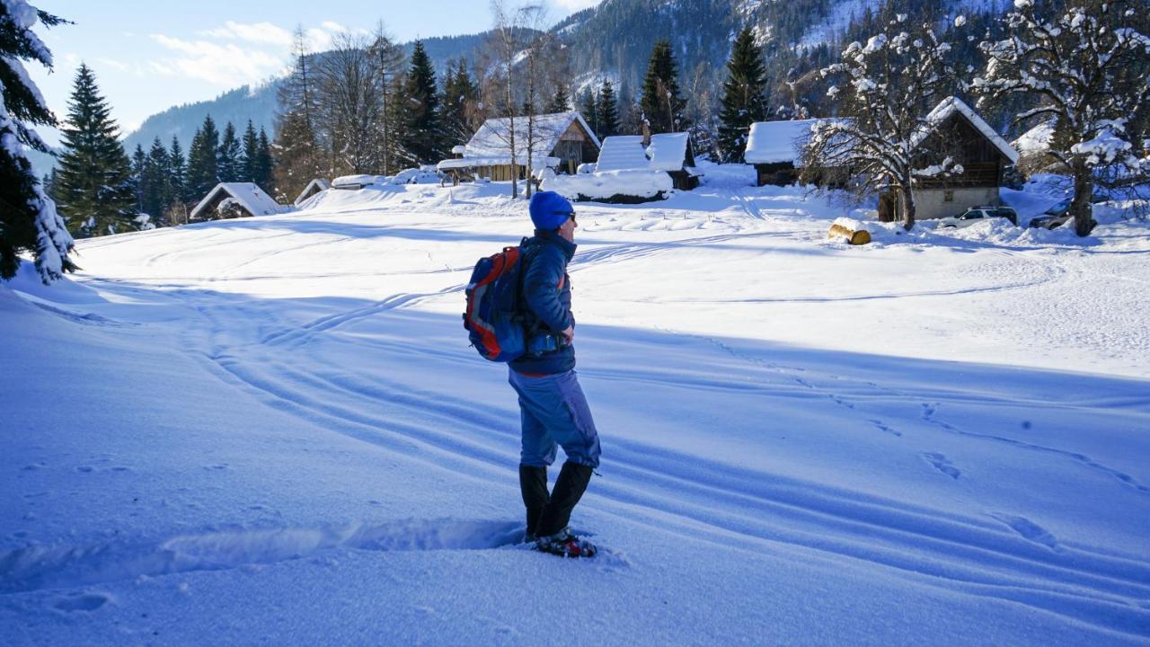 Chalet Hike&Bike Above Bohinj Valley エクステリア 写真