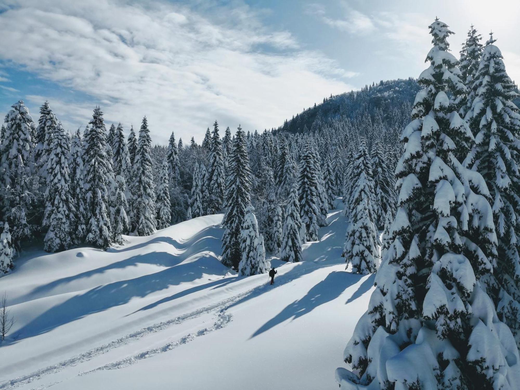 Chalet Hike&Bike Above Bohinj Valley エクステリア 写真