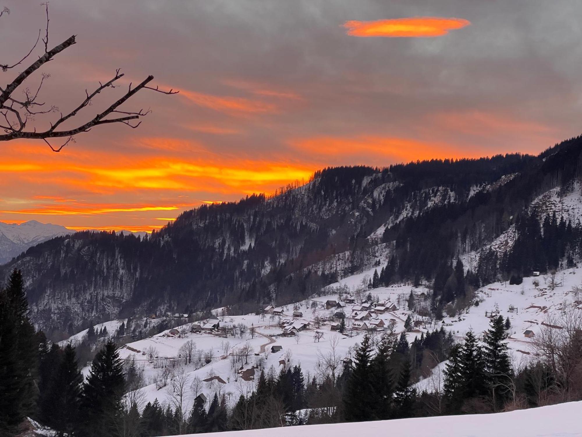 Chalet Hike&Bike Above Bohinj Valley エクステリア 写真