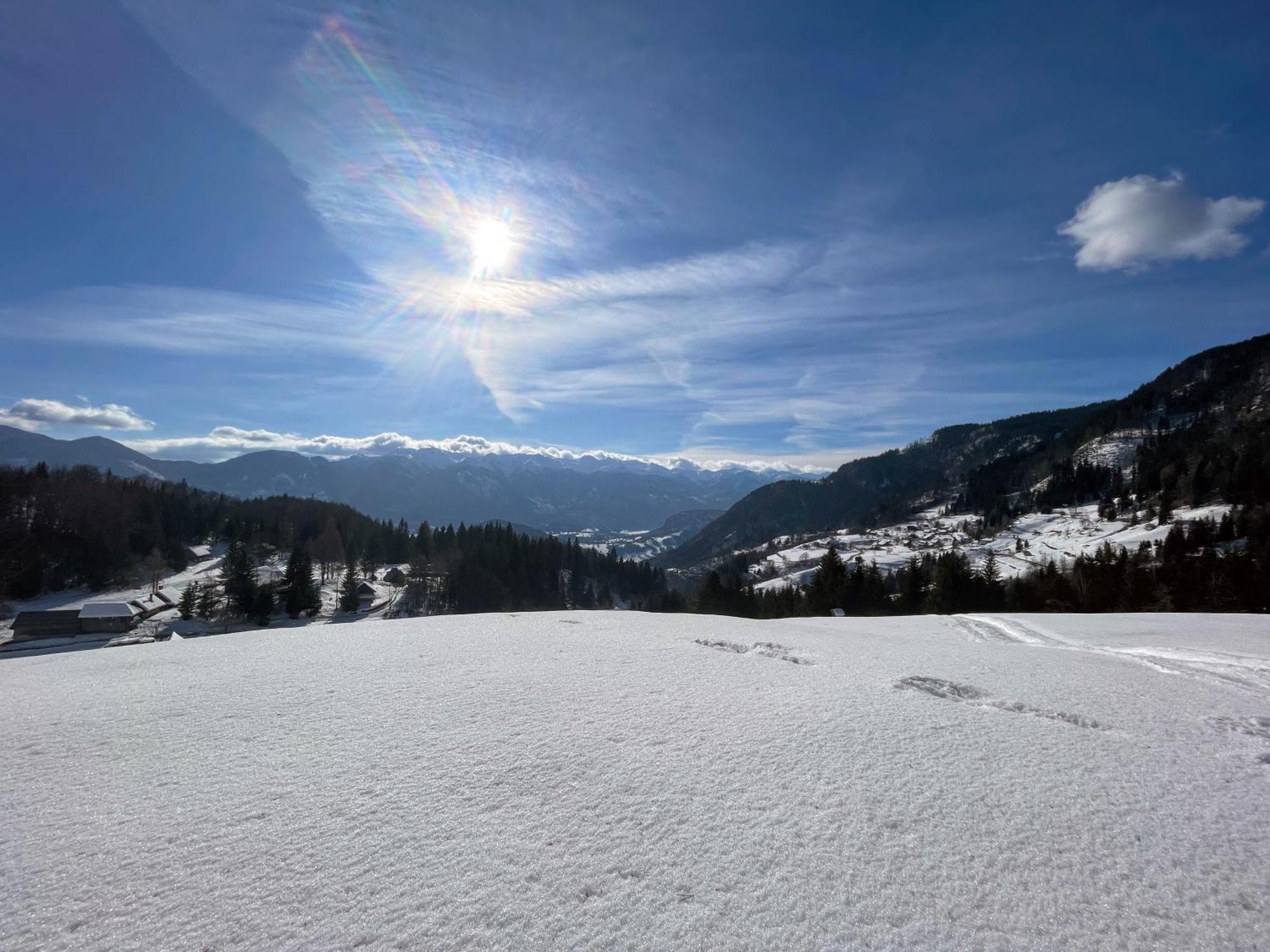 Chalet Hike&Bike Above Bohinj Valley エクステリア 写真